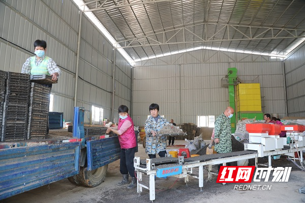 KR8A7941.JPG