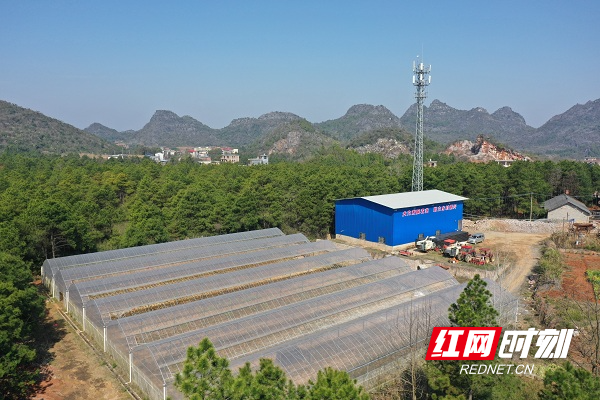 DJI_0196.JPG